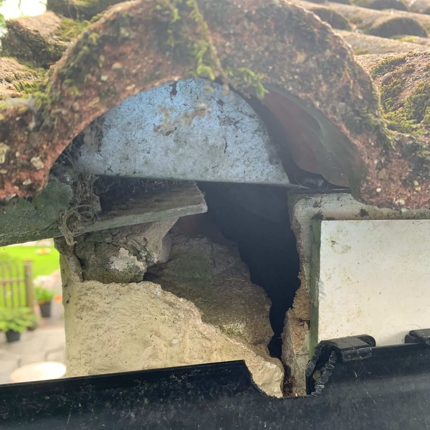 Hole chewed through fascia board by squirrel